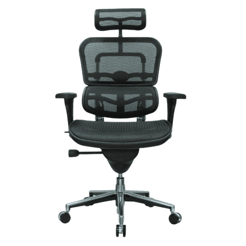 Ergohuman Chair